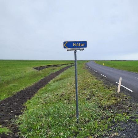 Holar Countryside Cabin 1 Selfoss Bagian luar foto