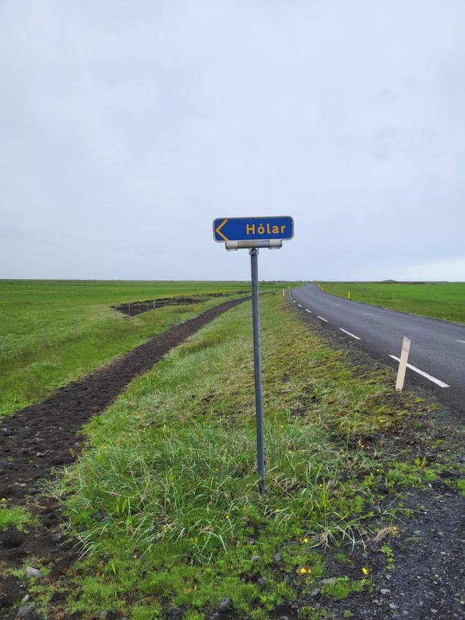 Holar Countryside Cabin 1 Selfoss Bagian luar foto